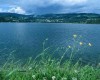 el_erla_stubenberg_am_see_850022122_050224_51395_7.JPG