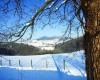 f_bad_gleichenberg_bad_gleichenberg_161214_13840_4.JPG
