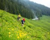 nhotel_bregenzerwald_bezau_10007914_191021_30269_5.JPG