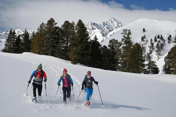 37914_851188.JPG