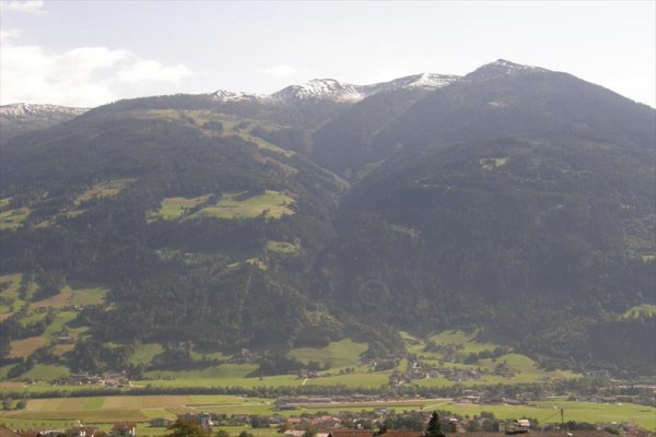 38238_848076.JPG