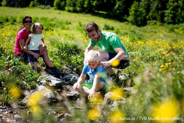 eischberg_chalets_st._georgen-murau_230720_14081_8.JPG