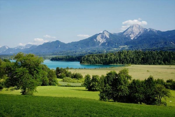 pogoeriacherhof_latschach_751000241_020921_27619_8.JPG