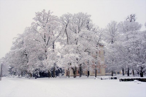 zur_klause_bad_hall_850051545_100322_34480_6.JPG